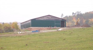 Reithalle